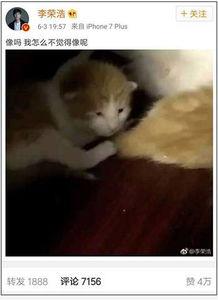 娱乐吃瓜酱小动物视频大全